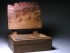 Burr elm
