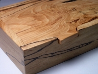 Spalted beech